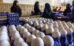 قیمت تخم مرغ اعلام شد/ گرانتر نخرید + جزئیات