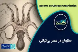 سازمان در عصر بی‌ثباتی