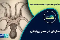 سازمان در عصر بی‌ثباتی