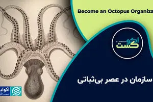 سازمان در عصر بی‌ثباتی