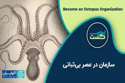 سازمان در عصر بی‌ثباتی