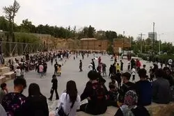 تجمع جوانان شیرازی؛تجدید آزمون هنجارهای رسمی