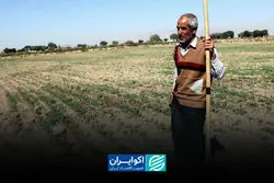 کشاورزی در تله سرمایه و روش‌های سنتی