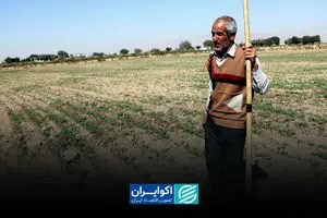 کشاورزی در تله سرمایه و روش‌های سنتی