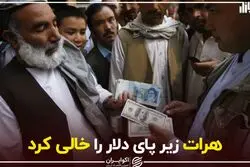هرات زیر پای دلار را خالی کرد