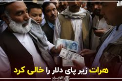 هرات زیر پای دلار را خالی کرد