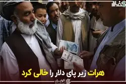 هرات زیر پای دلار را خالی کرد