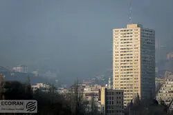 این مستاجران اجاره بالا دوست دارند؛وضعیت بازار اجاره در نیمه تابستان 