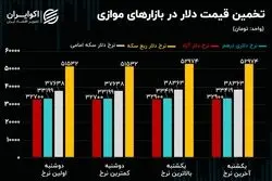 مجوز پیش روی بانک مرکزی به دلار نیما