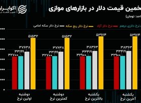 مجوز پیش روی بانک مرکزی به دلار نیما