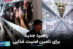 راهبرد جدید برای تامین امنیت غذایی