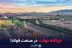 دردانه دولت در صنعت فولاد!