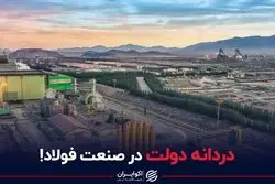 دردانه دولت در صنعت فولاد!