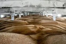 اوکراین به دنبال دور زدن تحریم‌های روسیه؛ ایجاد مراکز غلات در بنادر آفریقا