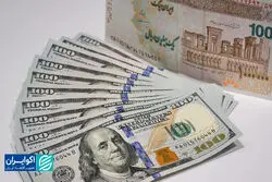 دستاورد سیاست ارز ترجیحی؛ از رانت تا تورم