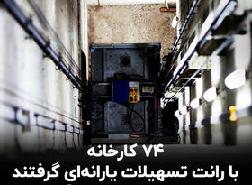 74 کارخانه با رانت تسهیلات یارانه‌ای گرفتند