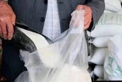 چالش شکر در بازار؛ از رسوب در انبار تا کمبود عرضه