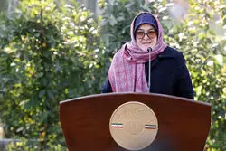 مهاجرانی: انتخاب وزیر اقتصاد را به مذاکرات گره نزدیم/ بازگشایی سفارت آمریکا در ایران الان موضوعیت ندارد