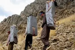 ساماندهی تجارت مرزی؛ سهم کولبران از واردات مشخص شد
