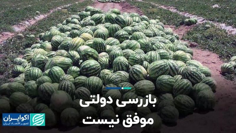 بازرسی دولتی موفق نیست