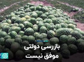 بازرسی دولتی موفق نیست