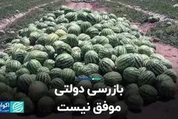 بازرسی دولتی موفق نیست