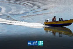 نجات از خشکسالی؟