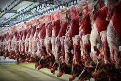 قیمت گوشت باید چقدر باشد؟/ ادعای مهم درباره نرخ ۱.۴ تا ۱.۵ میلیون تومانی