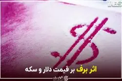 اثر برف بر قیمت دلار و سکه