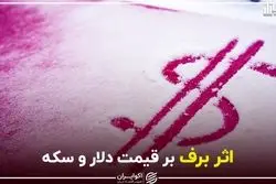 اثر برف بر قیمت دلار و سکه