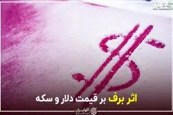 اثر برف بر قیمت دلار و سکه
