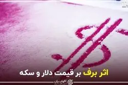 اثر برف بر قیمت دلار و سکه