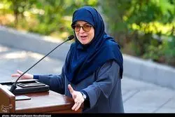 اظهارات سخنگوی دولت درباره افزایش قیمت بنزین/ ارتباط میان قیمت بنزین و کالابرگ چیست؟