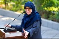 اظهارات سخنگوی دولت درباره افزایش قیمت بنزین/ ارتباط میان قیمت بنزین و کالابرگ چیست؟