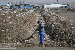 وعده سنجی عملکرد شهرداری در نظافت؛نمره دو عضو شورا به زاکانی

