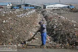 وعده سنجی عملکرد شهرداری در نظافت؛نمره دو عضو شورا به زاکانی

