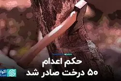 حکم اعدام ۵۰ درخت صادر شد