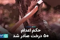 حکم اعدام ۵۰ درخت صادر شد