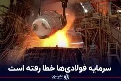 سرمایه فولادی‌ها خطا رفته است