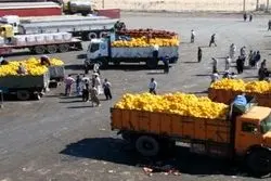 سهم صادرات محصولات کشاورزی منفی شد