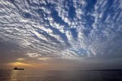 ادعای عجیب ترامپ درباره تنگه هرمز+تصویر