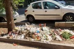 اعلام زمان بازگشت مخازن زباله  به پایتخت  

