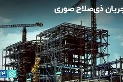 مجریان ذی‌صلاح صوری