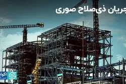 مجریان ذی‌صلاح صوری