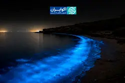 حمله‌ای در قلب هرمز؛ چرا آمریکا لارک را هدف گرفت؟