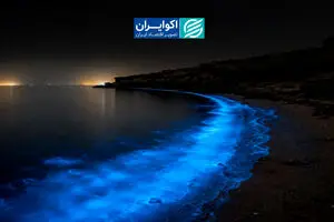 حمله‌ای در قلب هرمز؛ چرا آمریکا لارک را هدف گرفت؟