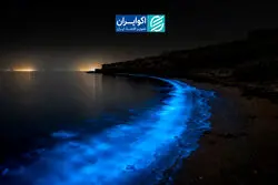 حمله‌ای در قلب هرمز؛ چرا آمریکا لارک را هدف گرفت؟