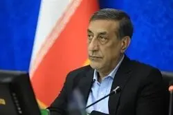 بنزین ۸۰ هزار تومان می‌شود؟/ شرط مهم قائم‌پناه برای تغییر قیمت سوخت