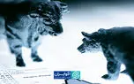 پیشتازی بورس در گرم ترین ماه سال؛ چرا بورس برخلاف انتظار، برنده مرداد شد؟