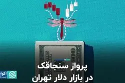 پرواز سنجاقک در بازار دلار تهران